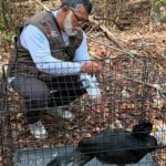 Cancún wildlife rescues raise new questions for city