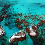 Cozumel Marine Park Expansion Protects More Coastline