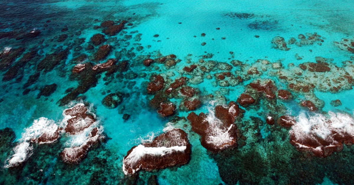 Cozumel Marine Park Expansion Protects More Coastline