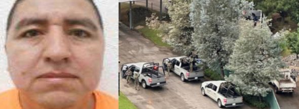 El Jardinero Arrest Raises New Questions for CJNG Power