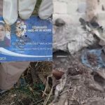 IDs Found in Jalisco Grave May Identify Two Victims