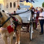 Mérida Horse Carriage Ban Push Gains New Attention