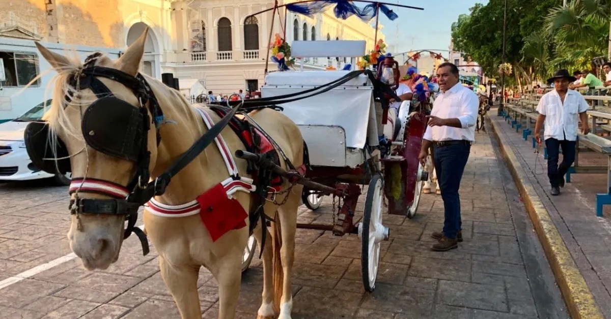 Mérida Horse Carriage Ban Push Gains New Attention