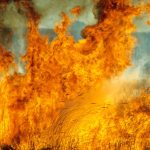 Mexico’s 2026 wildfire season is heating up quickly