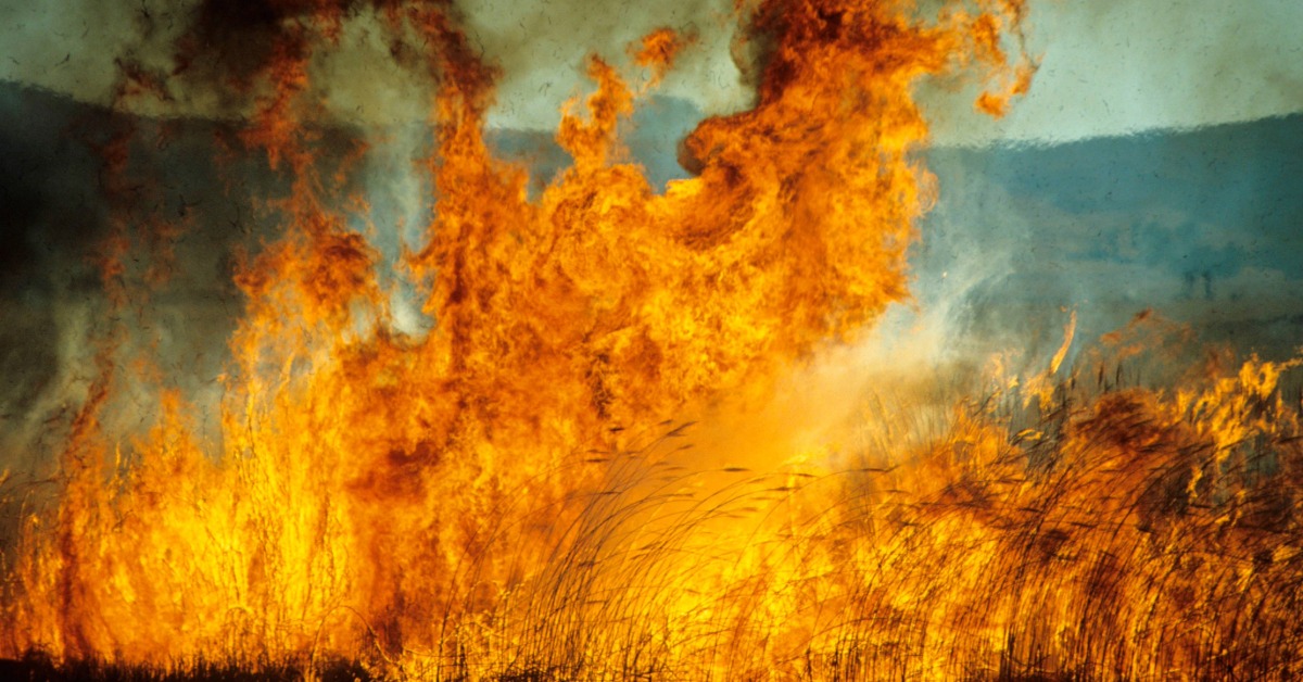 Mexico’s 2026 wildfire season is heating up quickly