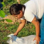 Playa del Carmen Boulevard Gets a Greener New Look