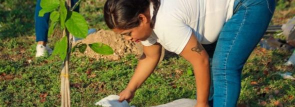 Playa del Carmen Boulevard Gets a Greener New Look