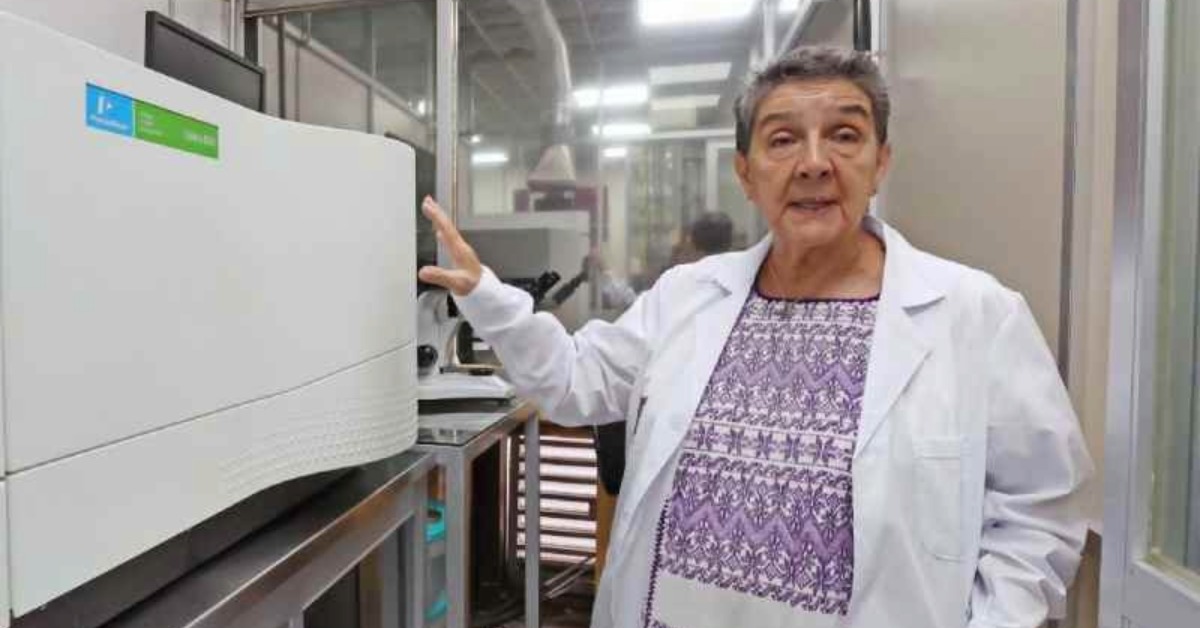 Playa del Carmen now has a sargassum gas monitor