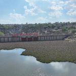 Presa Allende Cleanup Starts as Water Hyacinth Spreads