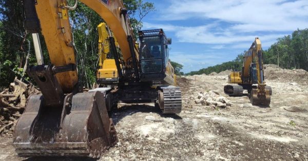 Punta de Mita Turtle Beach Protest Raises Pressure - Mexico News