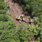 Quintana Roo jungle loss rises with coastal growth