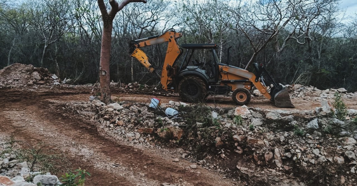 Yucatán Tourism Project Shut Over Cenote and Jungle Damage