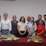 Yucatán turtle nesting season opens with new warning