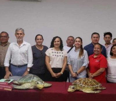 Yucatán turtle nesting season opens with new warning