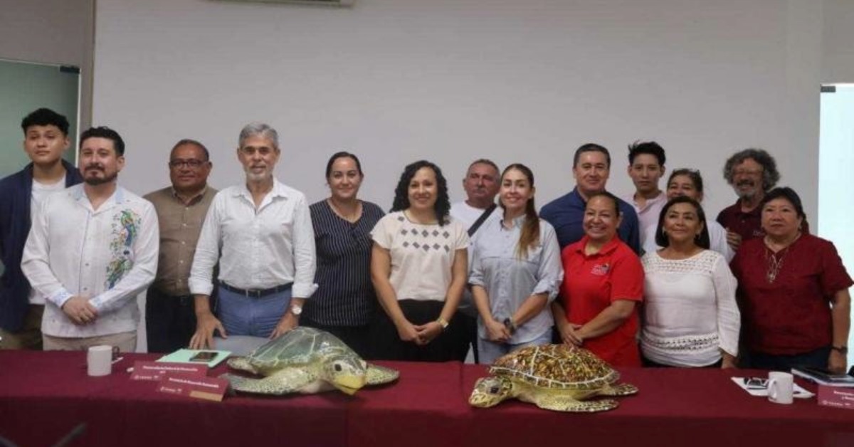 Yucatán turtle nesting season opens with new warning
