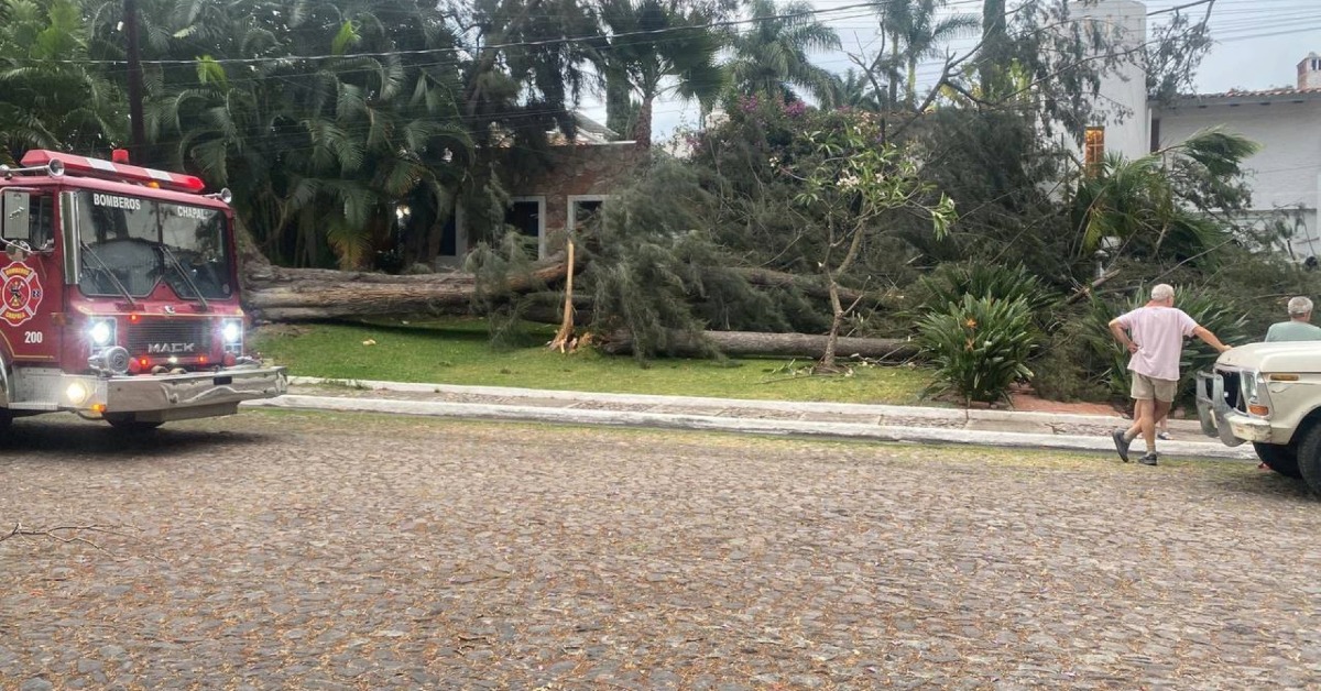 Ajijic Crews Rush to Clear Trees After Sudden Storm