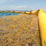 Cancun Deploys Massive Ocean Barriers Against Seaweed