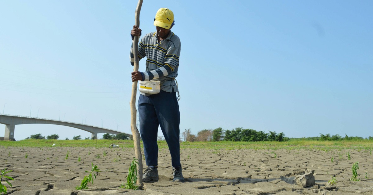 Drought expands to 15.4 percent of Mexico