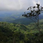 Foreign hiker found safe after Huicicila hill rescue in Bahía de Banderas