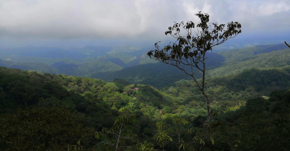 Foreign hiker found safe after Huicicila hill rescue in Bahía de Banderas