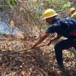 Forest Fire Sweeps Palmares Beach Burning 15 Hectares