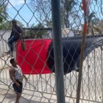 Garbage collection workers halt service in Puerto Vallarta