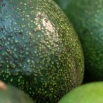 Jalisco wants to reclaim the guacamole world record