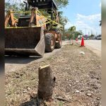 Mérida Gas Station Pays Record Fine for Felled Trees