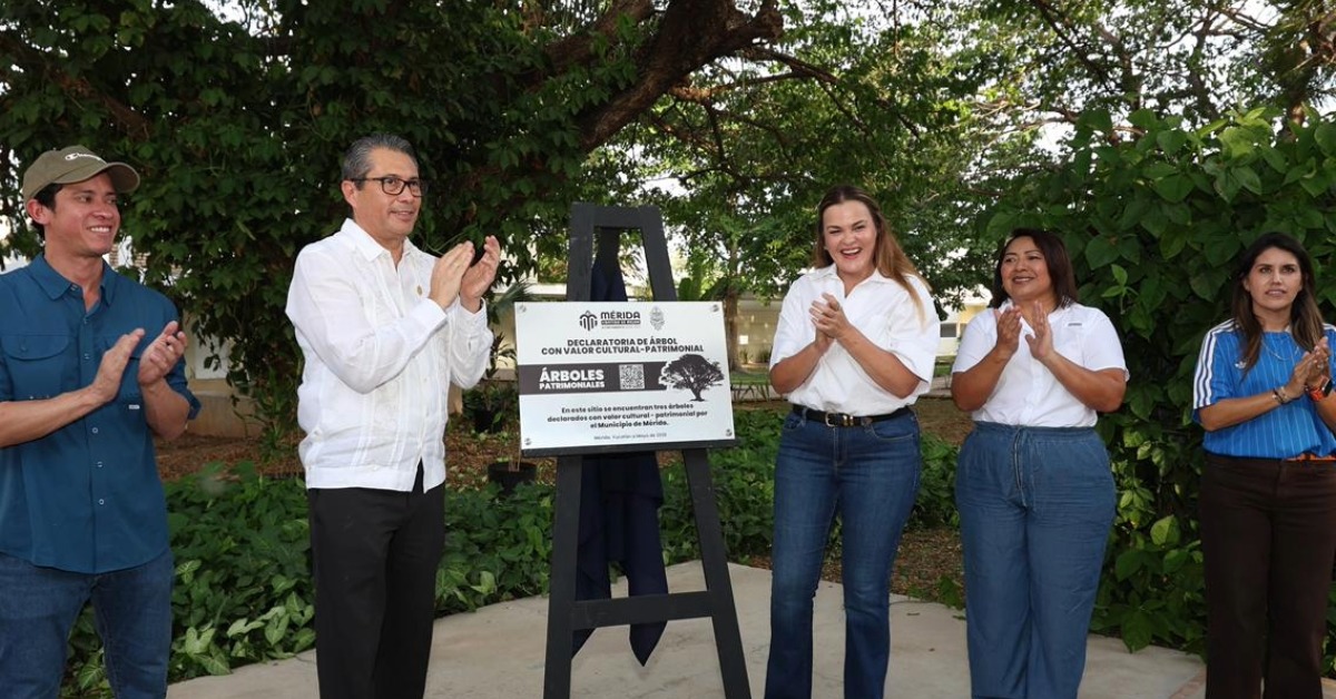 Mérida Protects More Heritage Trees as City Grows