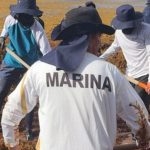 Mexico Navy Expands Sargassum Fight Along Caribbean