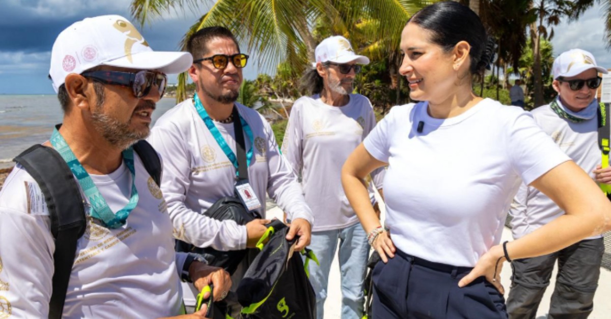 Playa del Carmen Turtle Nesting Holds Amid Sargassum