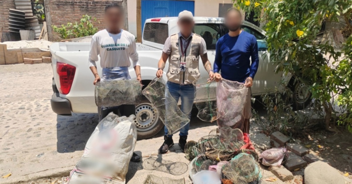Profepa Closes Work Sites to Protect Vallarta Turtle