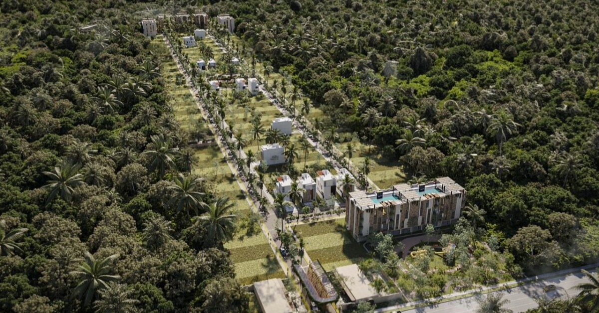 Puerto Morelos Closes Illegal Cenote Route Projects