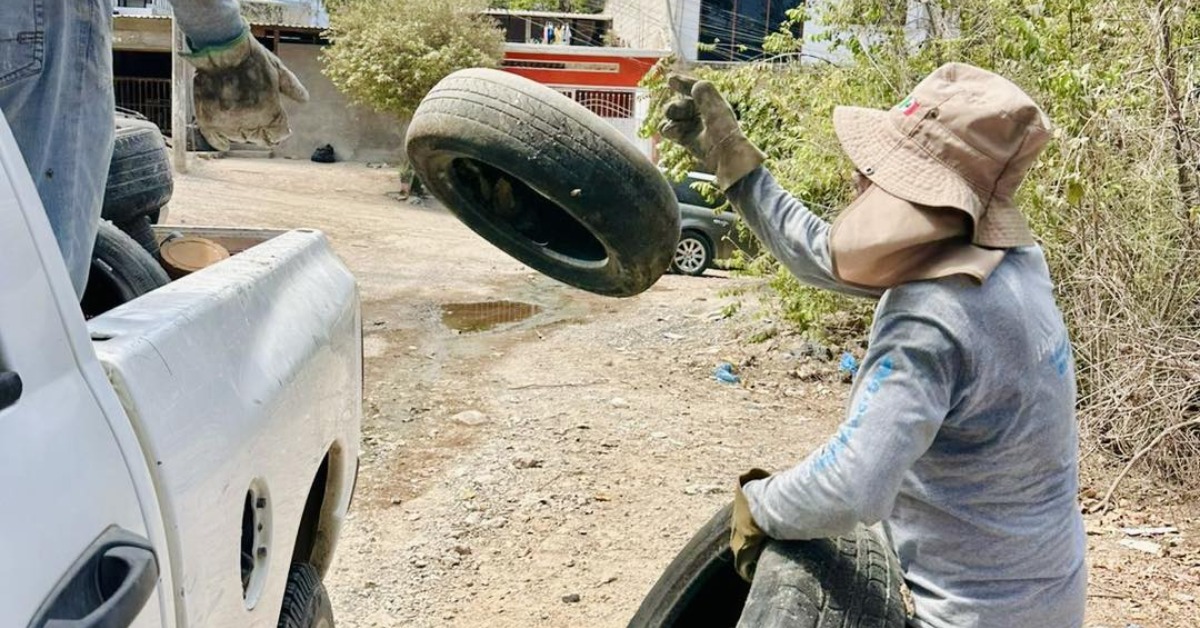 Puerto Vallarta Seeks Tire Plan to Cut Dengue Risk