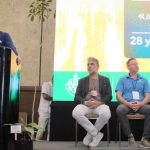 Puerto Vallarta Tree Forum Faces Local Tree Loss Debate