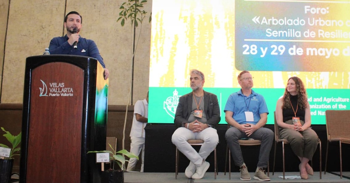 Puerto Vallarta Tree Forum Faces Local Tree Loss Debate