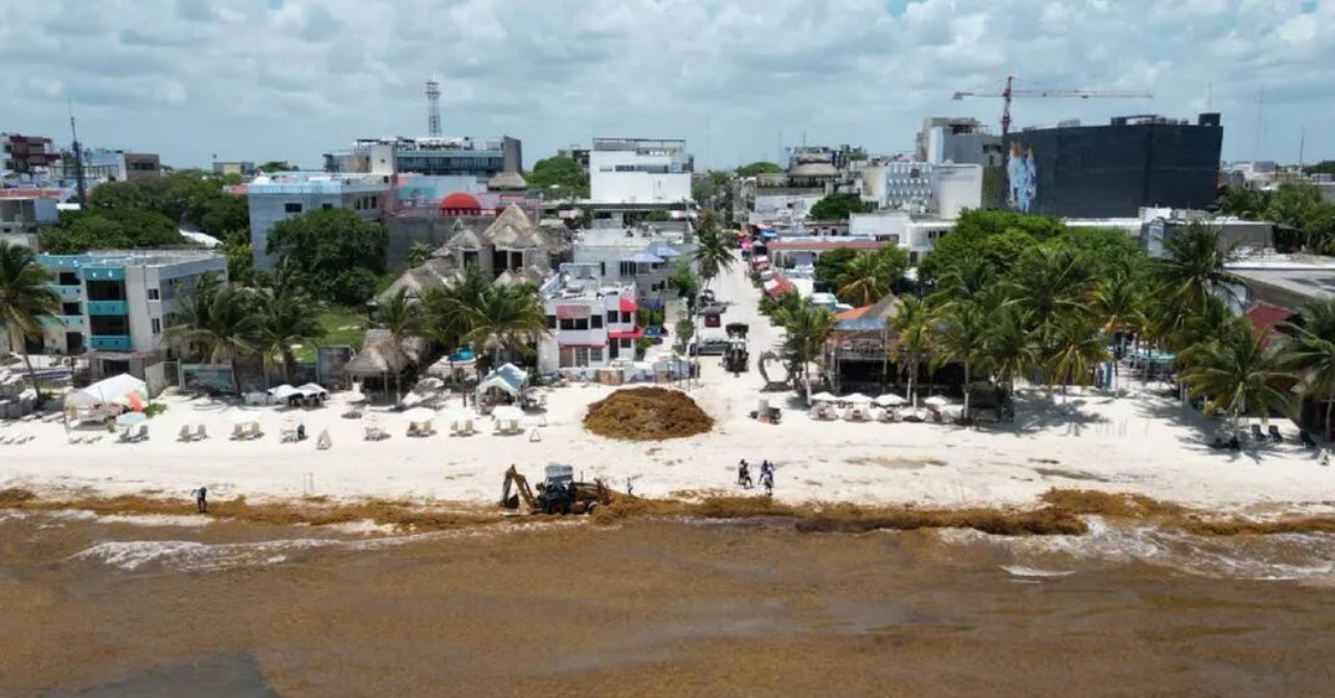 Quintana Roo’s Sargassum Surge Could Hit 100,000 Tons