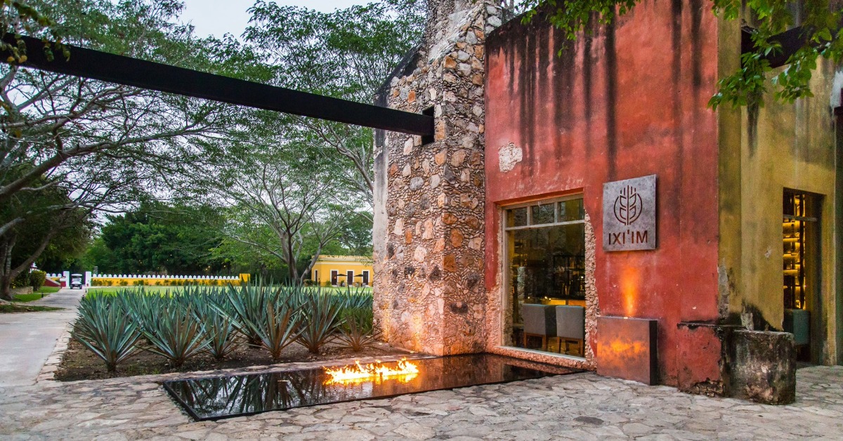 Three Yucatán Restaurants Win Michelin Stars in 2026