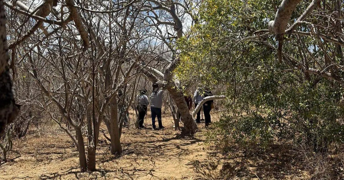 Three clandestine graves found in Los Cabos in days