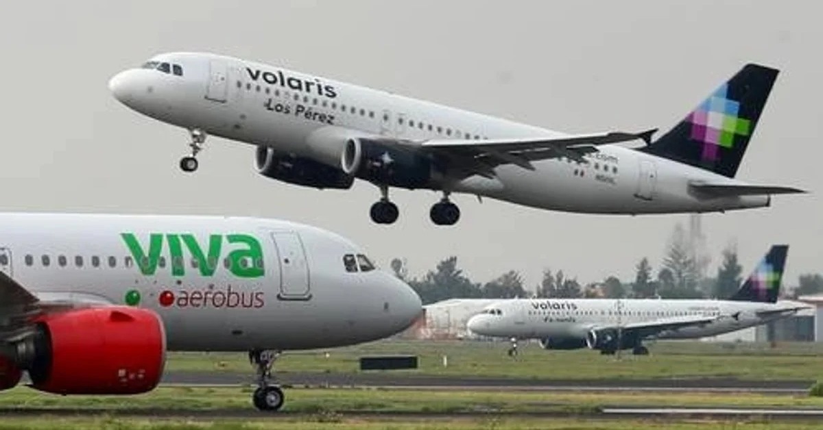 Viva Aerobus and Volaris report heavy first-quarter losses