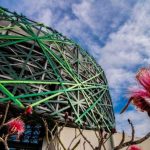 A free Mérida concert that surrounds you with sound
