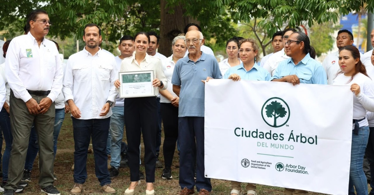 Cancún Just Joined an Elite Global Tree Cities List