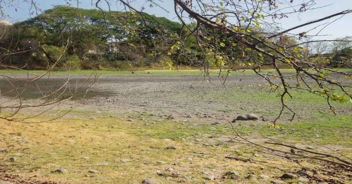 Coapinole Lagoon Low Water Warning Issued in Vallarta
