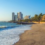 Dead Crocodile Washes Onto Puerto Vallarta Hotel Beach