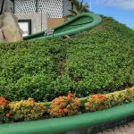 Marina Vallarta’s Whale Landmark Finally Looks Fresh