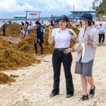 Mexican Caribbean beaches face a sargassum breaking point