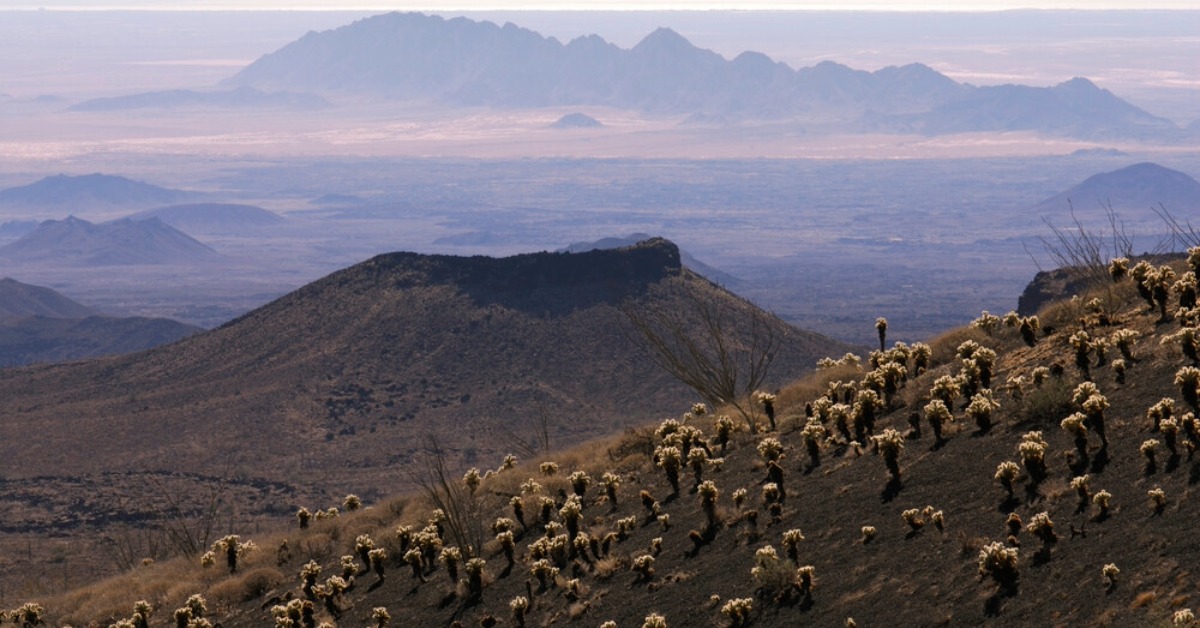 Mexico Desert Wonder Faces UNESCO Danger List Warning