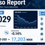 Peso holds near 17.20 per dollar