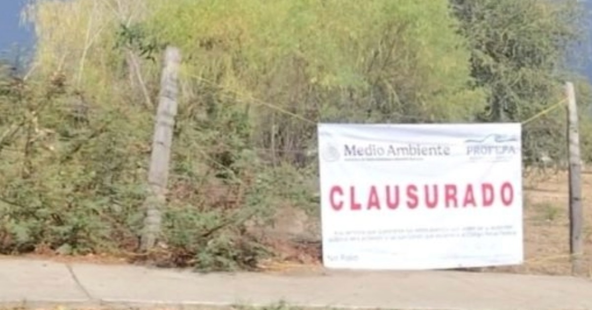 Profepa Closes Avenida México Site Over Habitat Damage