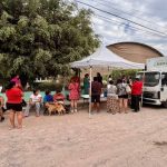 Puerto Vallarta Tops 1,000 Free Pet Sterilizations